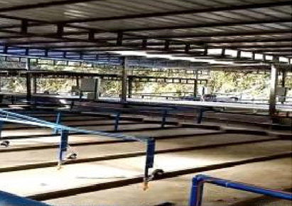 驥龍礦業(yè)尾礦回收項(xiàng)目